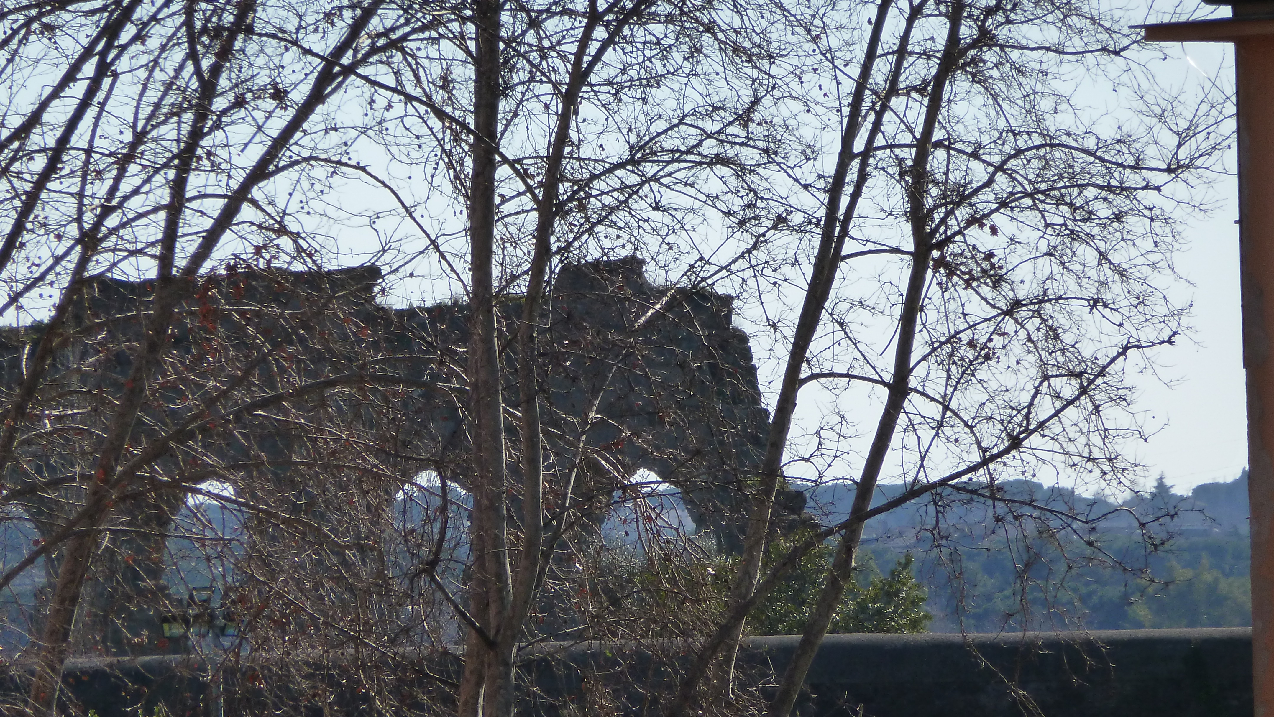 P1070316.JPG